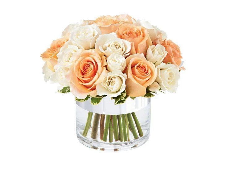 Arranjo de rosas champanhe por R$182,40 na <a href="https://www.giulianaflores.com.br/presentes-de-aniversario/arranjos-de-flores/elegante-de--rosas-champanhe/p6281-d1544/?src=DEPT" target="blank_">Giuliana Flores</a>