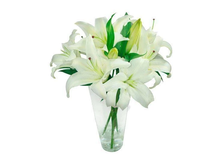 Arranjo de lírios brancos por R$283,10 na <a href="https://www.giulianaflores.com.br/presentes-de-aniversario/arranjos-de-flores/lindos-lirios-brancos/p5888-d1544/?src=DEPT" target="blank_">Giuliana Flores</a>