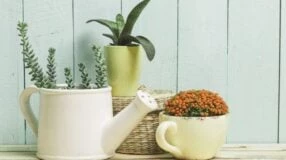 Cómo hacer un jarrón de vejiga para decorar de forma ecológica y elegante