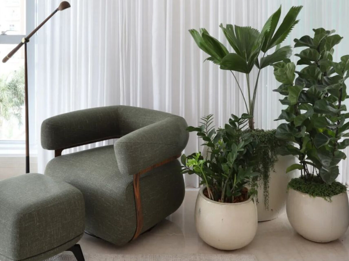 60+ inspirações e tipos de plantas ornamentais para o seu lar