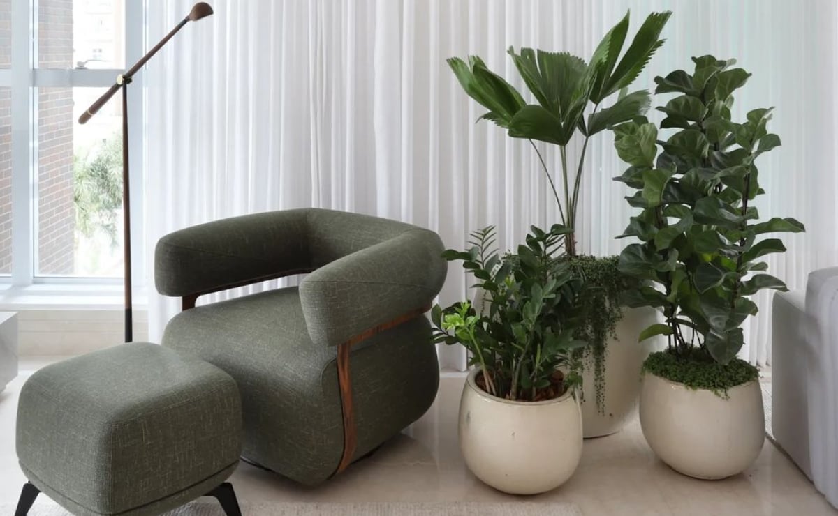 60+ inspirações e tipos de plantas ornamentais para o seu lar