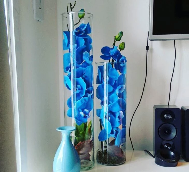 Foto de orquidea azul 9 - 14