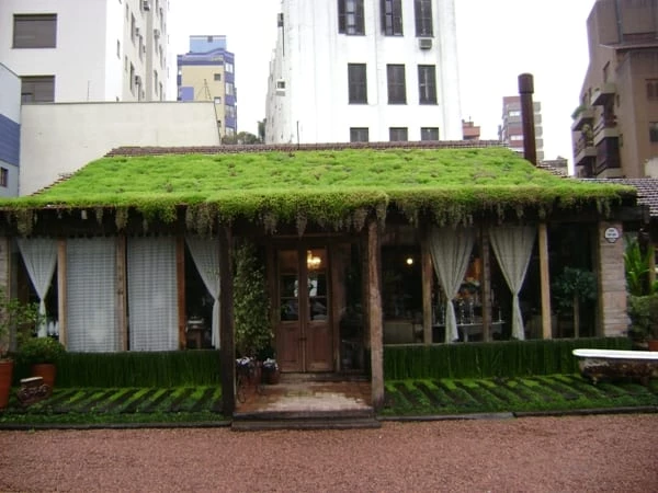 Foto de telhado verde 21 - 21