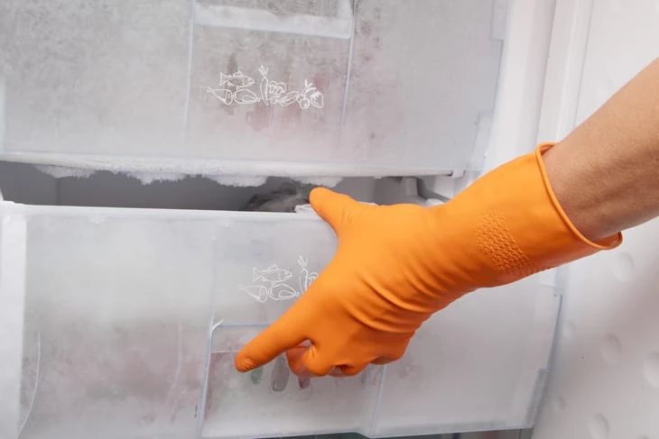 Foto de como limpar geladeira 7 - 9