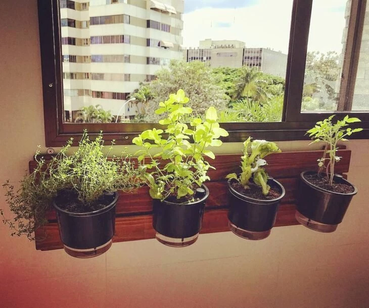 Horta em apartamento: como fazer, o que plantar, passo a passo (FOTOS)