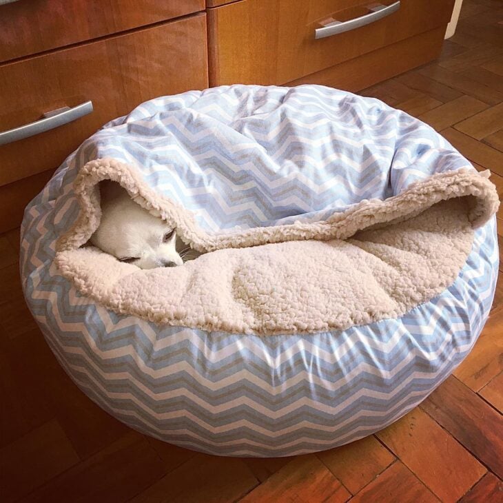 cama para cachorro