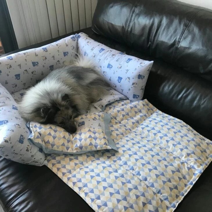 cama para cachorro