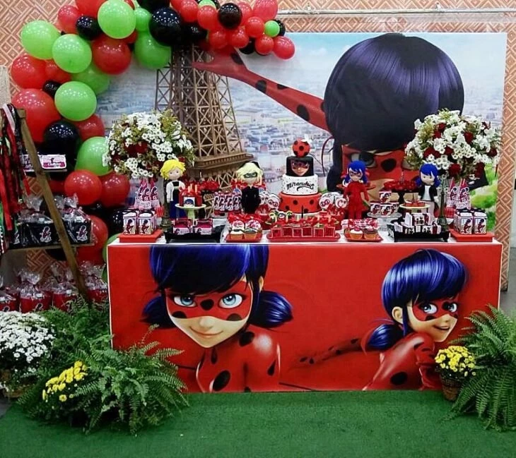 Miraculous as aventuras de Ladybug e Cat noir  Imagem em png, Decoração de  aniversario ladybug, Aniversário ladybug