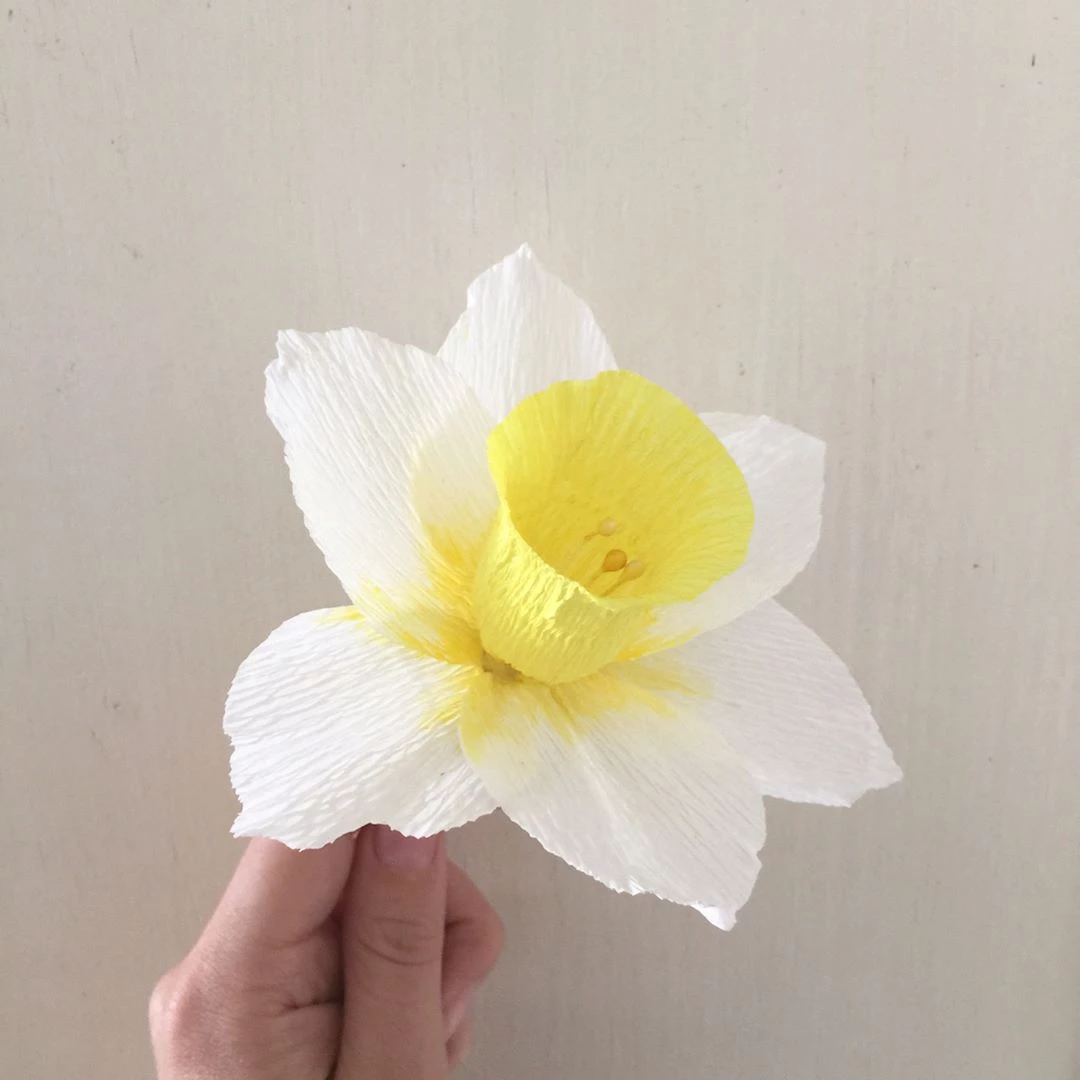 Flor de papel crepom: 50 modelos e tutoriais para embelezar o ambiente