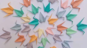 Foto de origami - 1