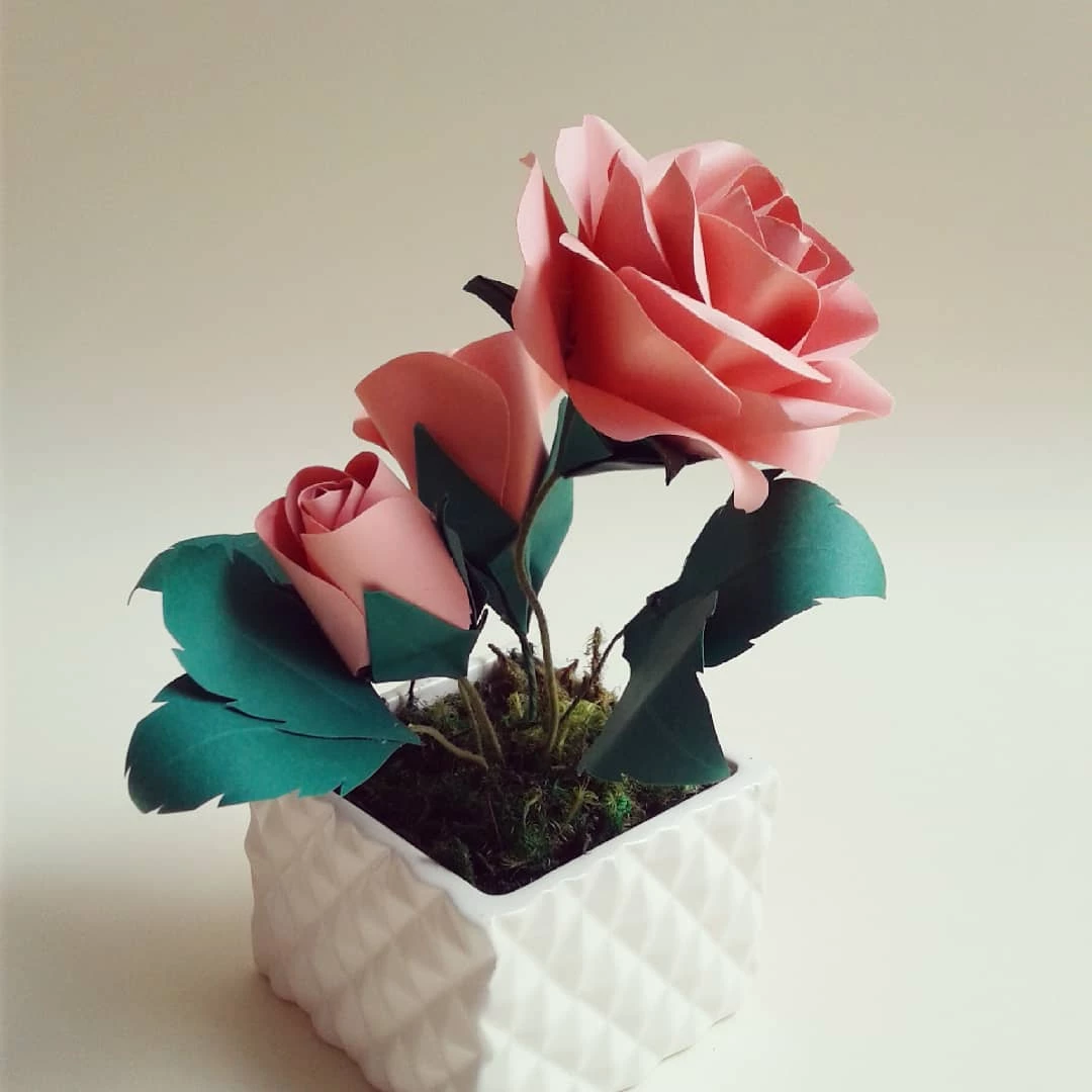 Foto de rosas de papel 2 - 5