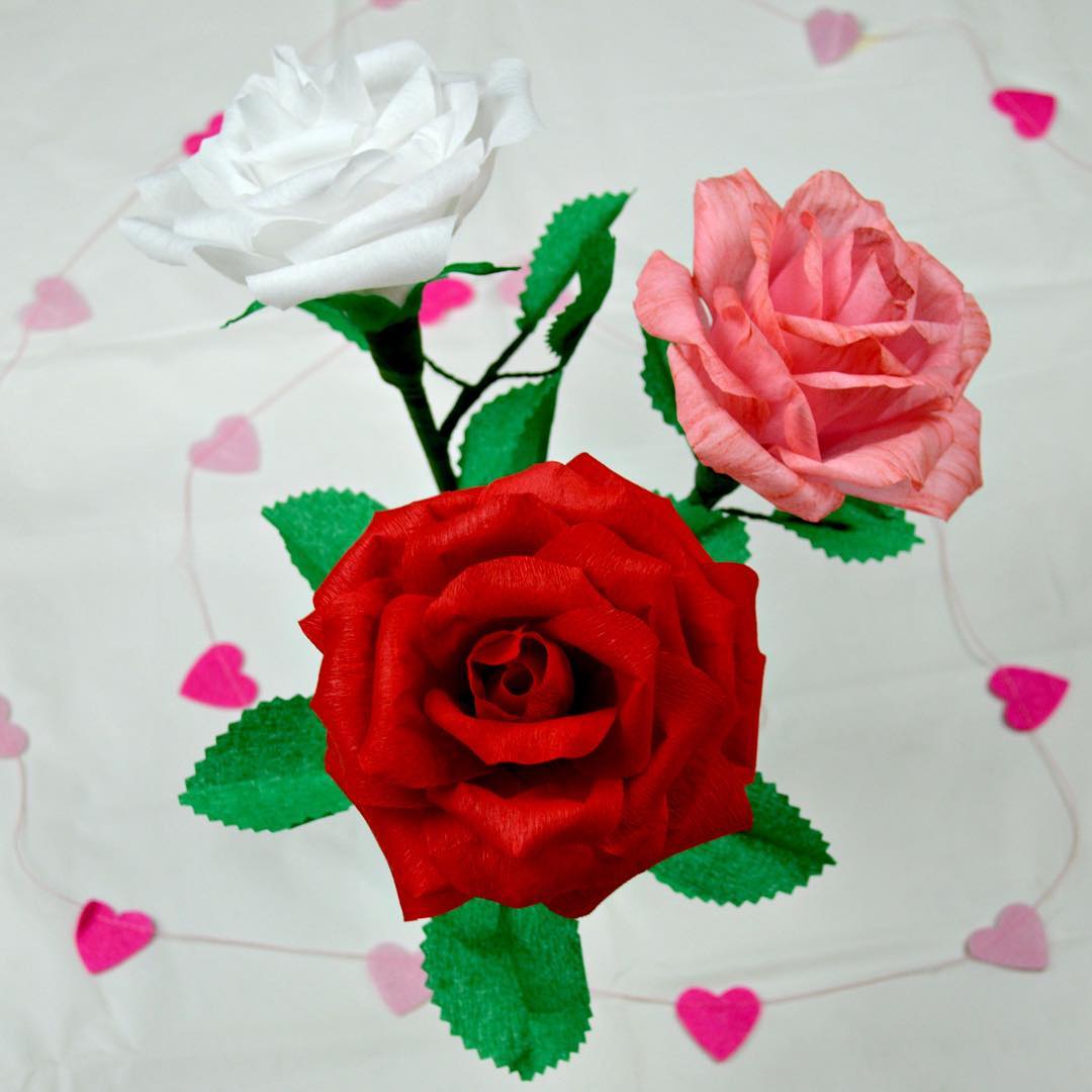 Foto de rosas de papel 25 - 28