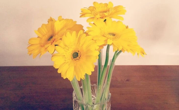 Foto de flores amarelas 10 - 13