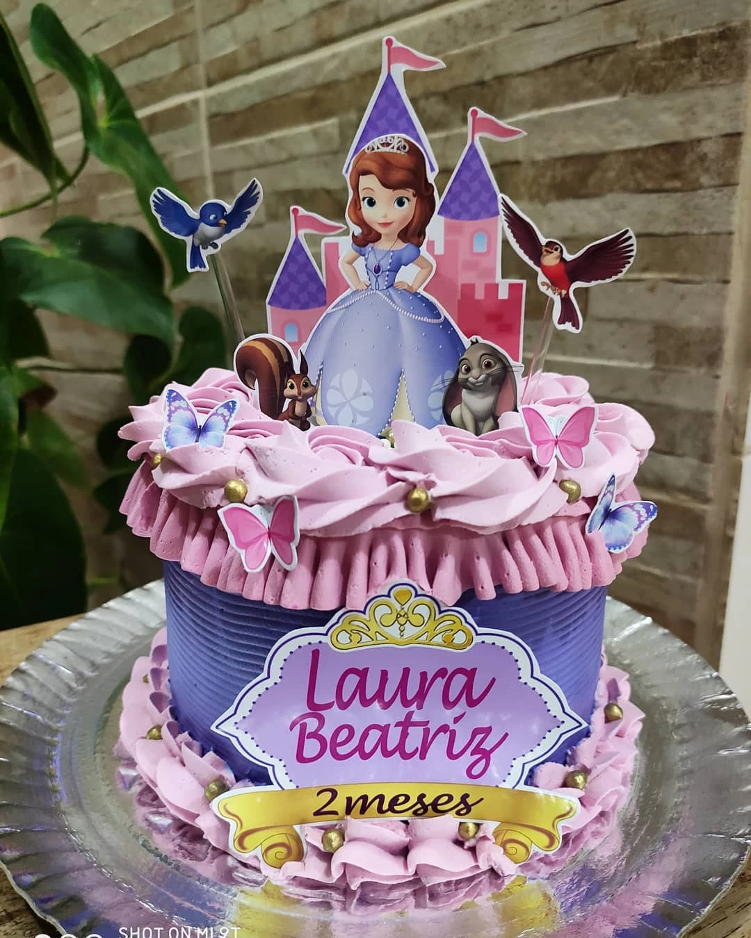 Foto de bolo da princesa sofia 32 - 35