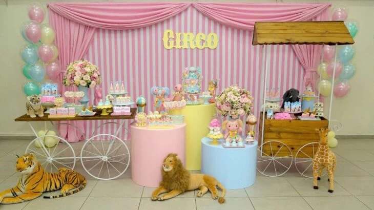Foto de festa circo rosa 57 - 60