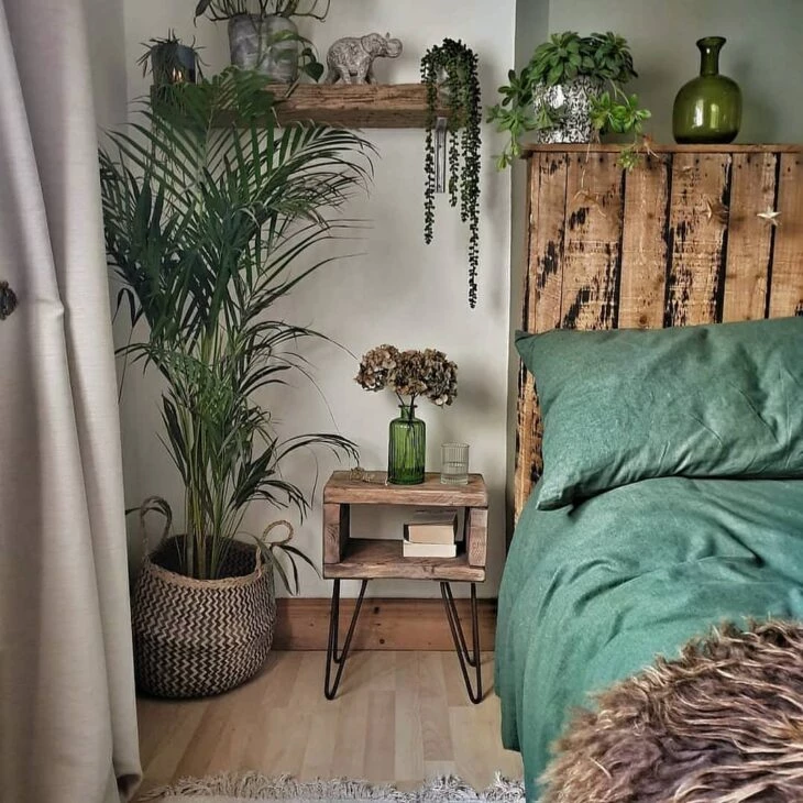 Foto de plantas para quarto 7 - 10