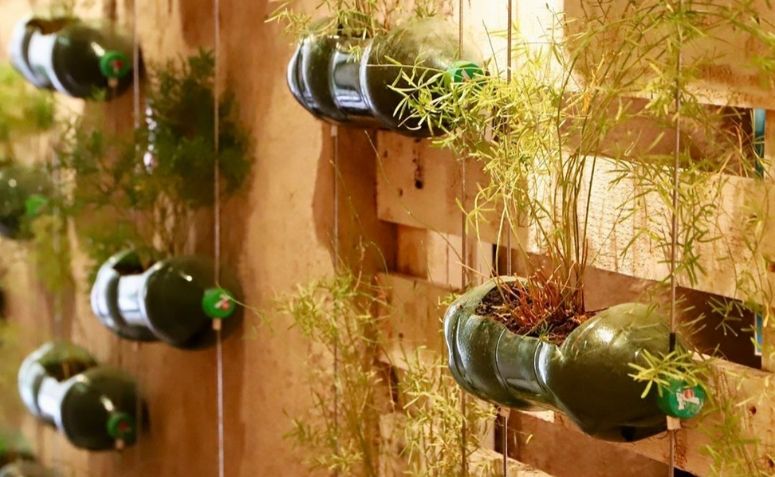 Vaso de garrafa PET: 65 ideias para uma decoração sustentável