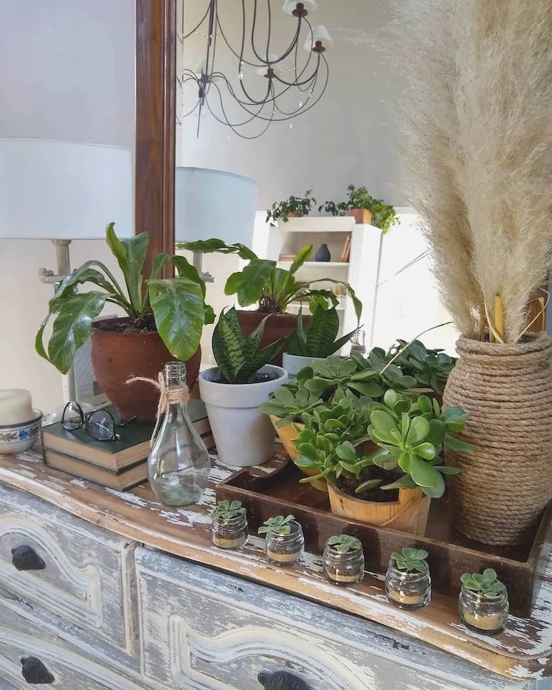 Macetas para suculentas: 70 ideas para cultivar tus plantas
