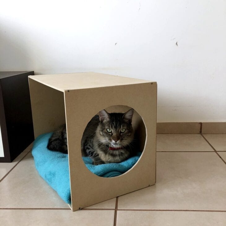 Foto de casinha para gato 11 - 11
