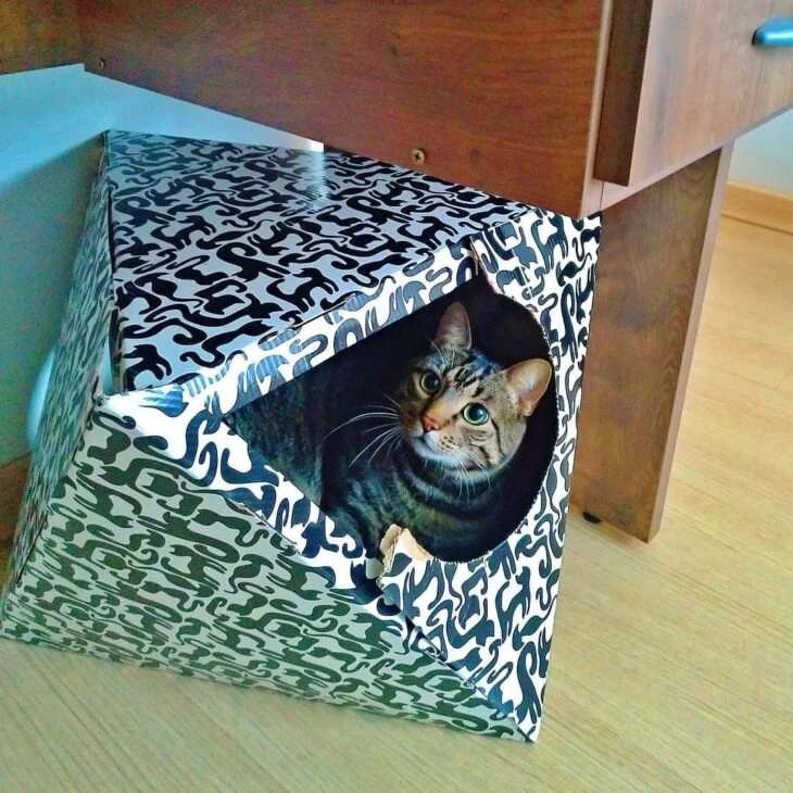 Foto de casinha para gato 4 - 4