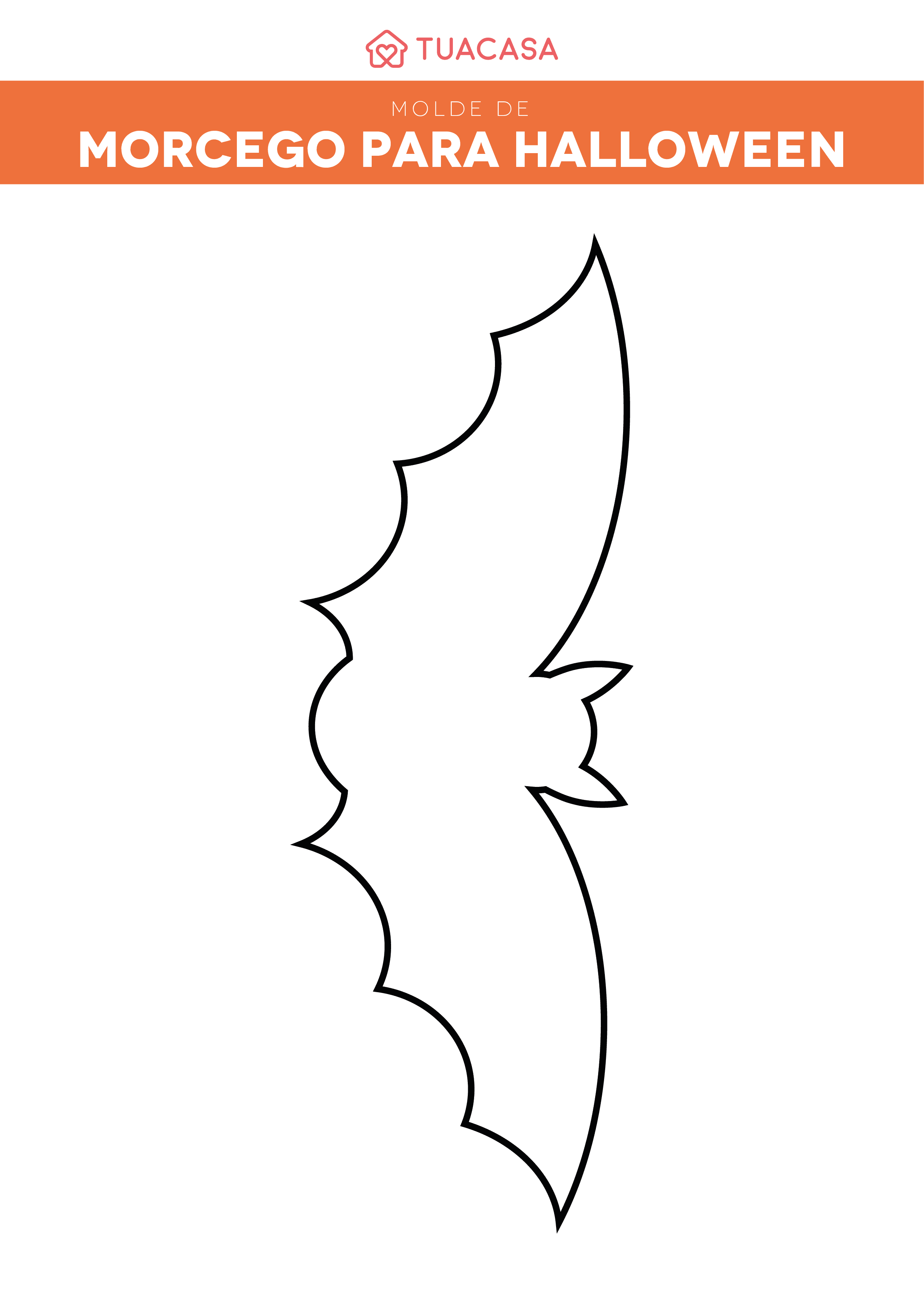 Como desenhar um morcego realista  Tutorial de desenho passo a passo