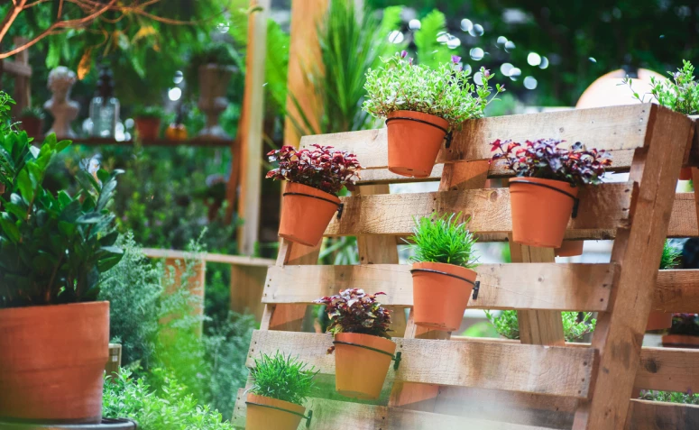 70 ideias de jardim vertical de pallet para decorar gastando pouco