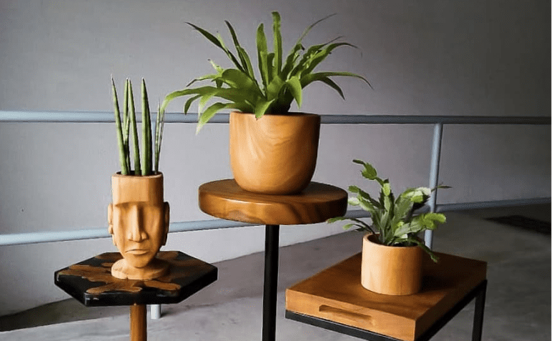 30 modelos de cachepot de madeira para destacar suas plantas
