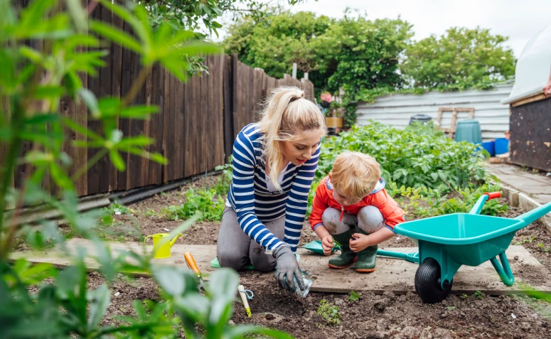 60 ideias de horta no quintal para ter suas hortaliças sempre à mão