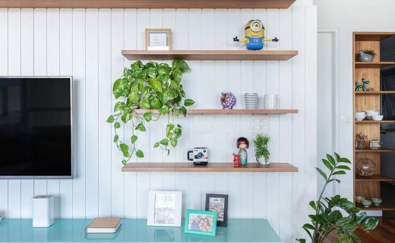 30 espécies de plantas pequenas para uma casa mais verde