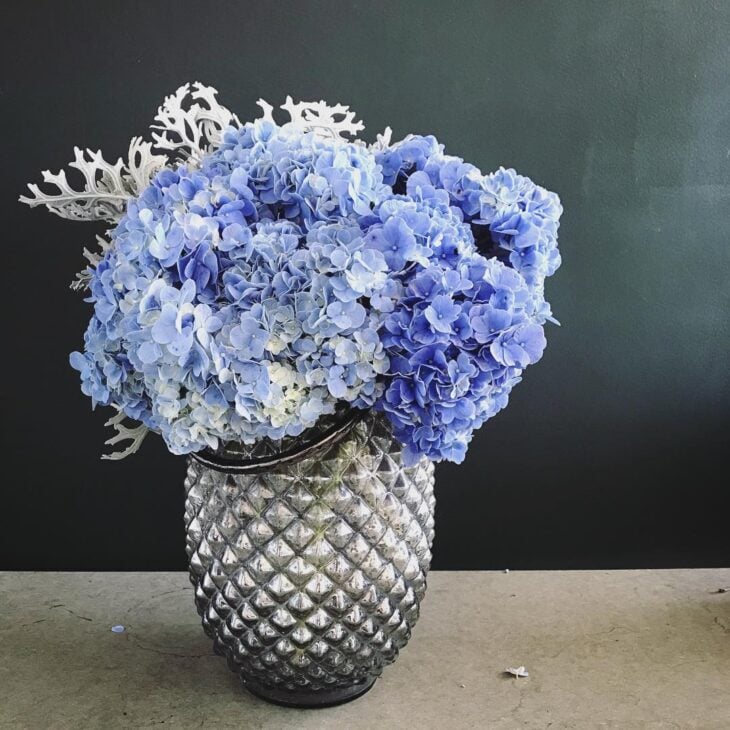 Foto de flores azuis 19 - 24