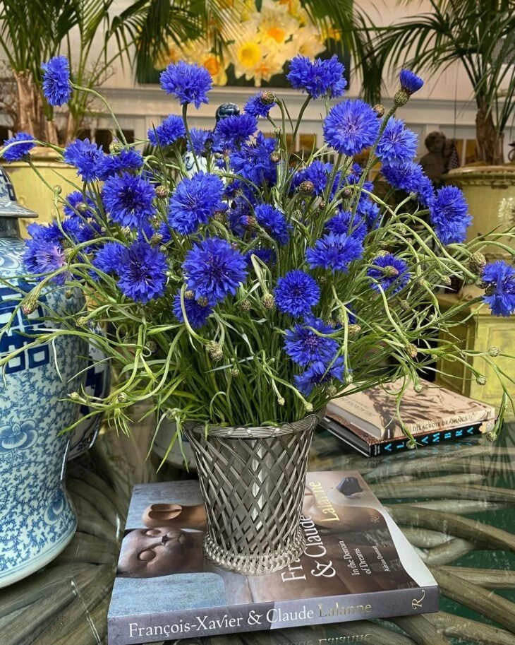 Foto de flores azuis 4 - 9