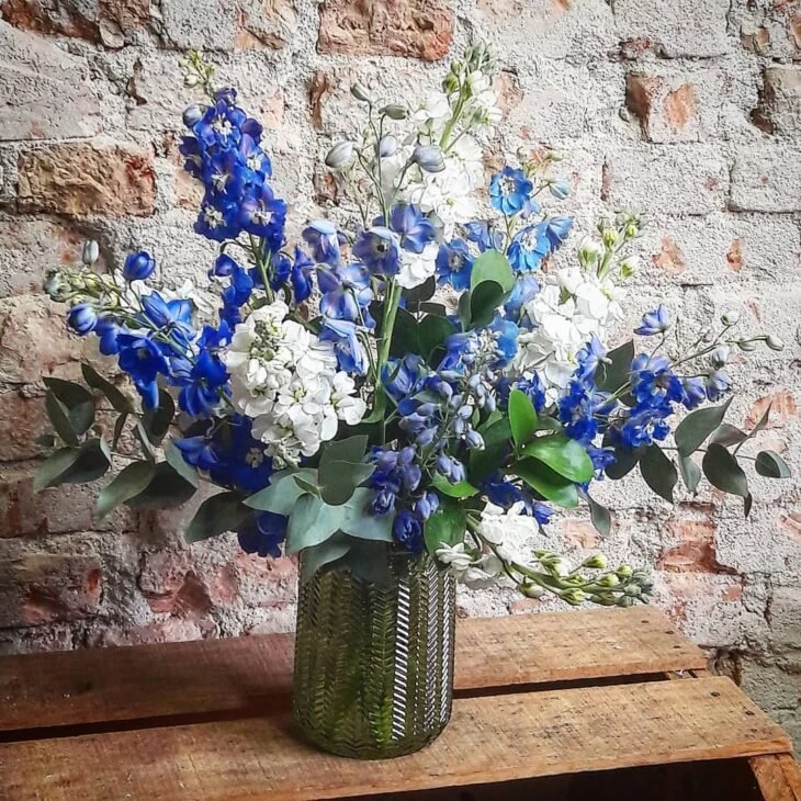 Foto de flores azuis 5 - 7