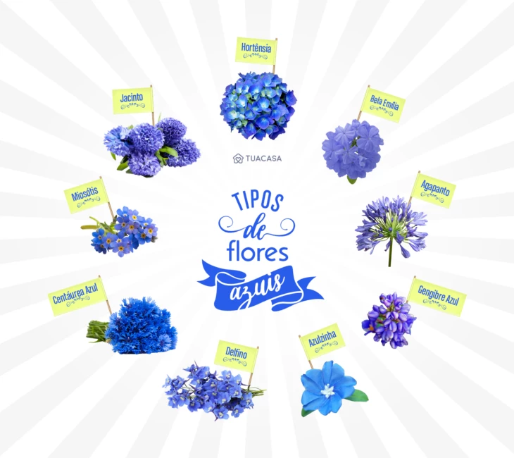 Foto de tipos de flores azuis - 4