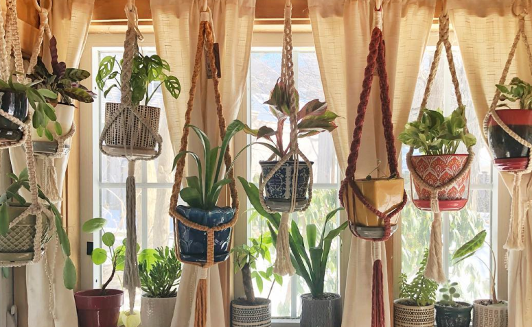 50 ideias de vasos suspensos que são um charme