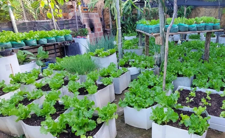 20 ideias de horta em casa para um cultivo orgânico